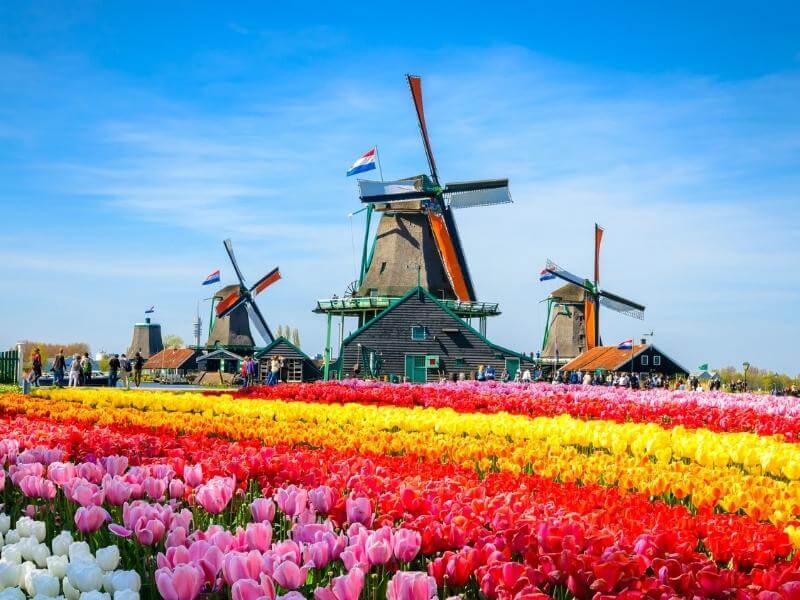 windmill_amsterdam